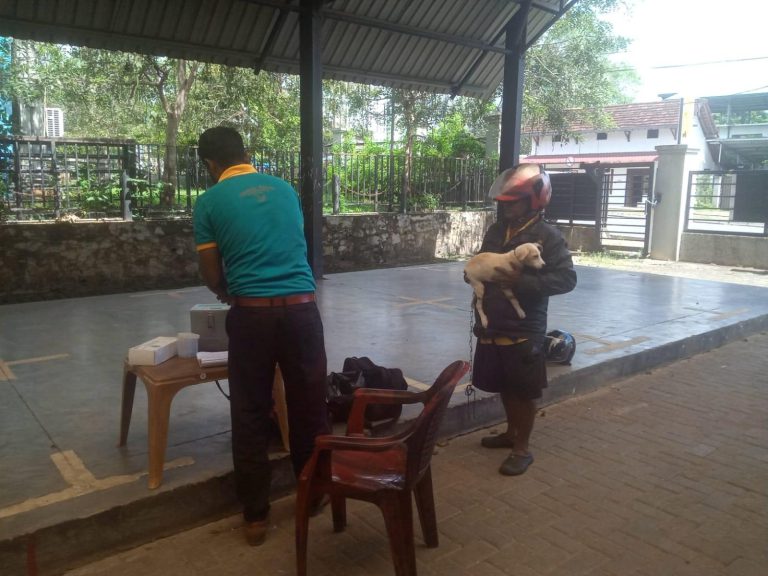 Dog anti-rabies vaccination clinic